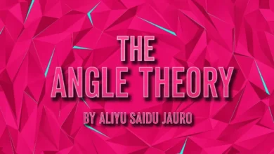 The Angle Theory: A Framework By Aliyu Saidu Jauro The Angle Theory A Framework By Aliyu Saidu Jauro